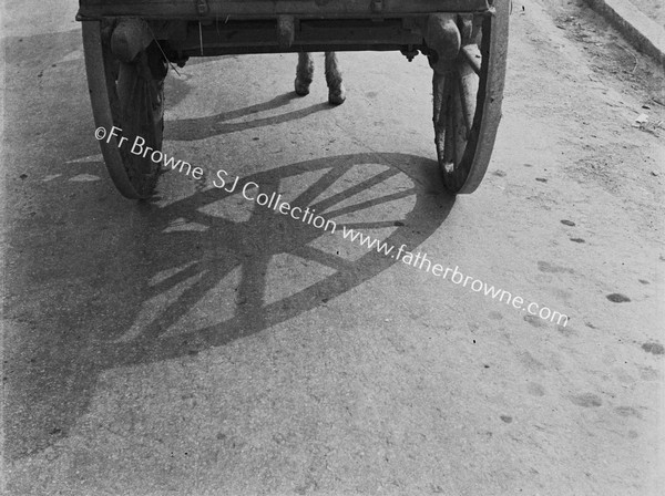 FARM CART SHADOWS